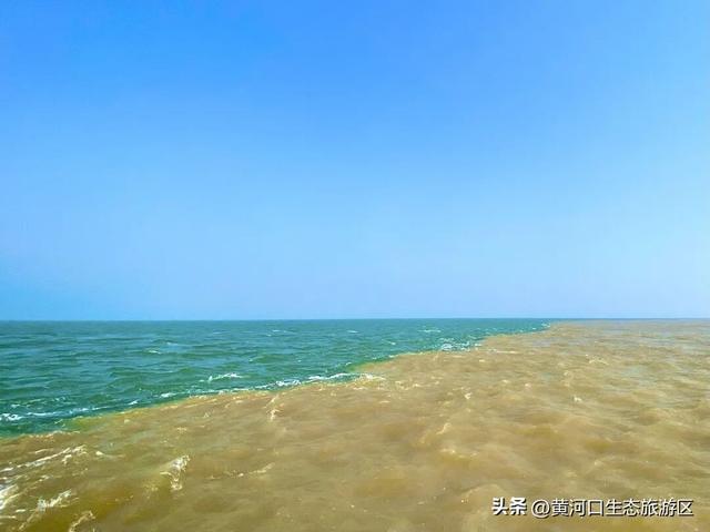 【黄河口生态旅游区】秋日出游全攻略 赏“大自然的调色盘”
