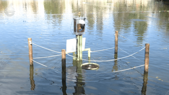 10人路过，9人停下猜！翠湖里的这些桶在干嘛？