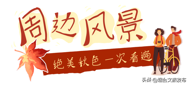 【乐游烟台】最新实拍！烟台鱼鸟河“顶级秋色”加载中