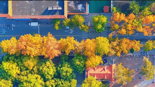 肥城秋冬的童话，收到了吗～满满诗意，满满爱！