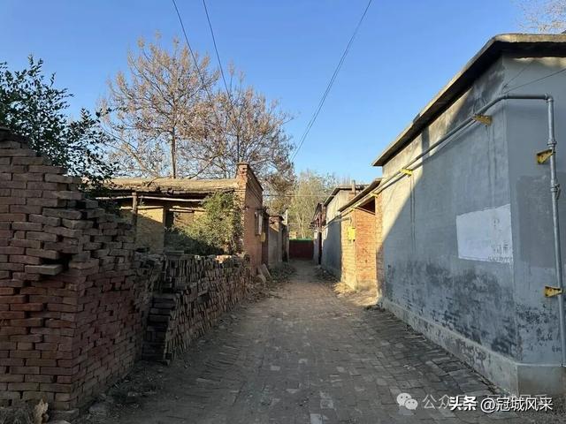 冠县乡韵·贾镇荆楼村