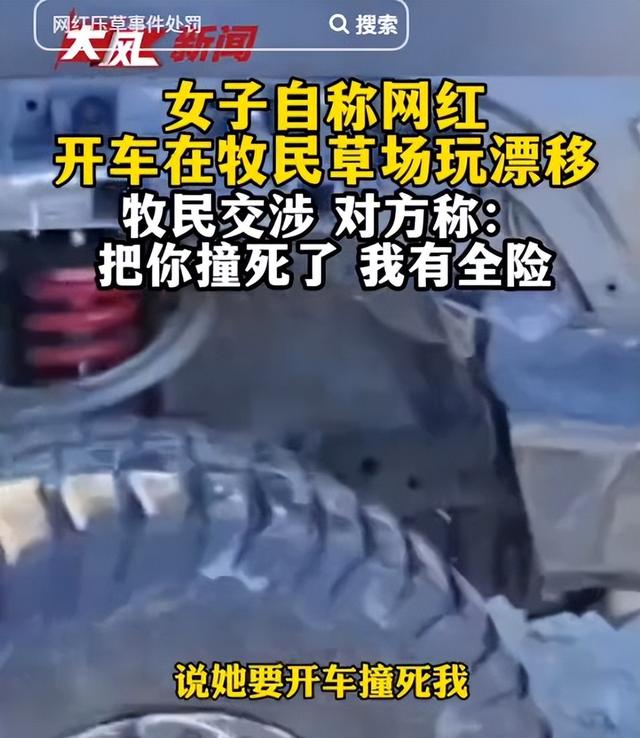 女子开车碾压草场后续：扬言撞死牧民，真实身份被扒，公司被牵连