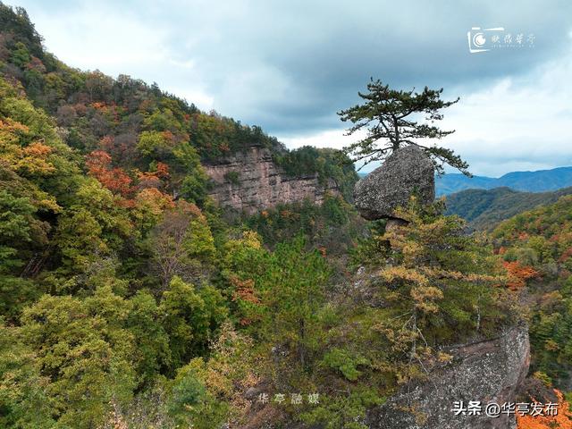 【映像华亭】华亭秋日，佐以人间烟火