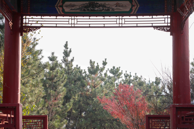 【图说钢城（53）】取景框里的钢城