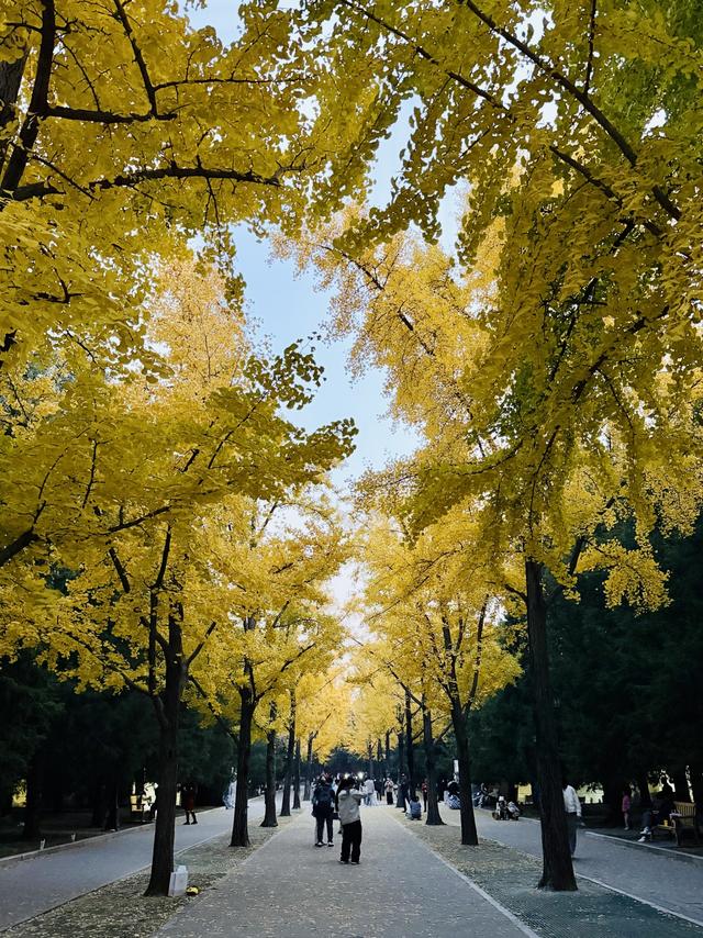 深度 | 让市集烟火气承载文化故事