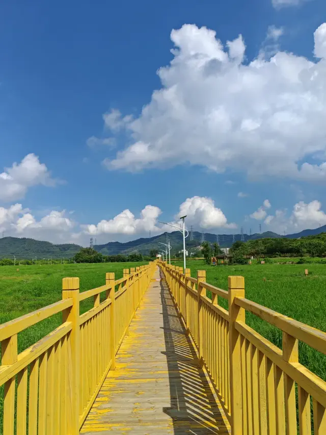 从渔港到田园！大亚湾这些绝美场景被镜头定格，宜居感拉满