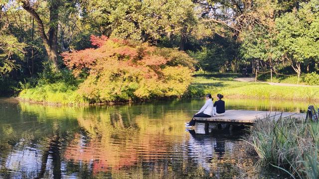 杭州秋日秘境：太子湾与浴鹄湾的红枫水墨画