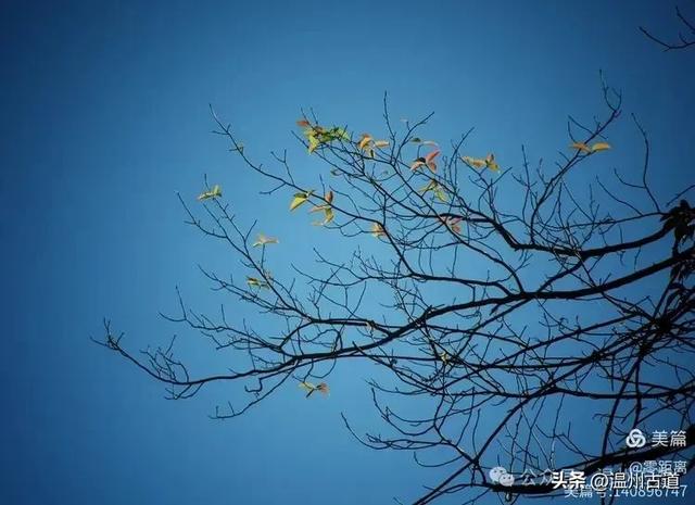 醉美林坑晒秋!这条连接两个避世古村落的省一级古道,周末可走起