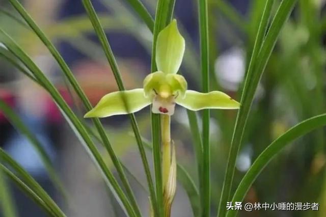 两性关系：男人过65岁	，基本上都会有如下现状，具体表现是这样的