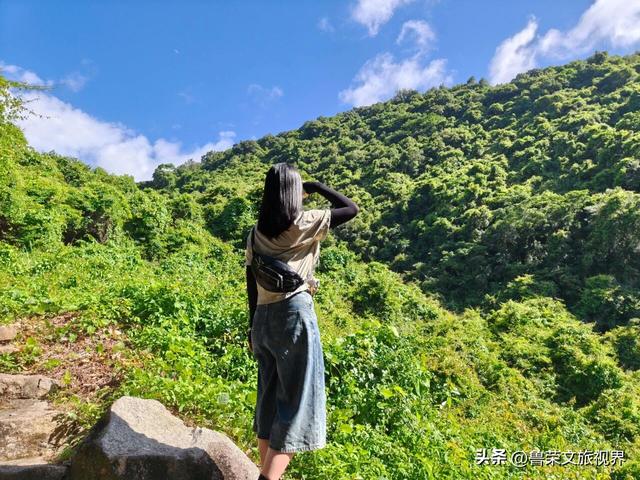 深圳圆山风景区漫记：从禅音到童梦，再攀云巅