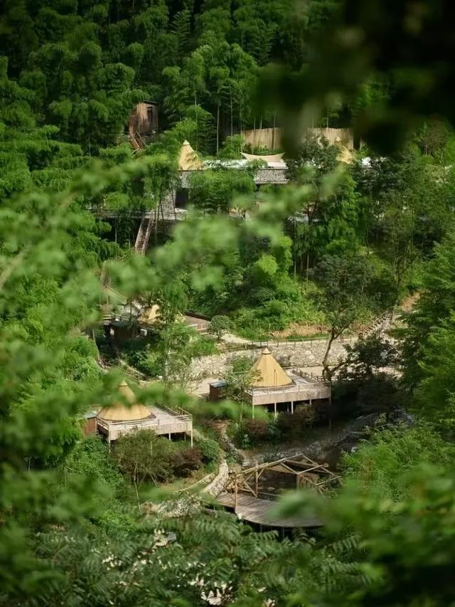 安吉露营经济的“品质革命”