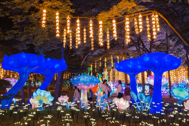 “青岛之夏”艺术灯会：科技光影炫酷周末，沉浸式夜游新体验