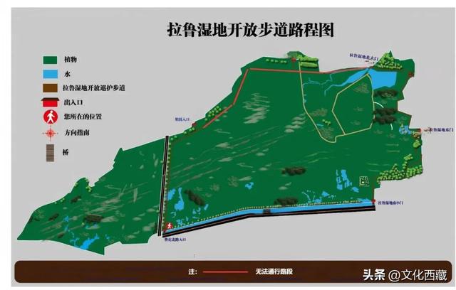 下次有朋友去拉萨，除了布达拉宫，请告诉他一定要逛逛这里