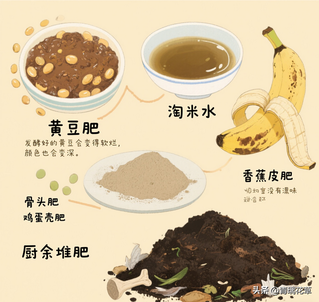 在家自制花卉肥料全攻略：从原料到使用的一站式指南