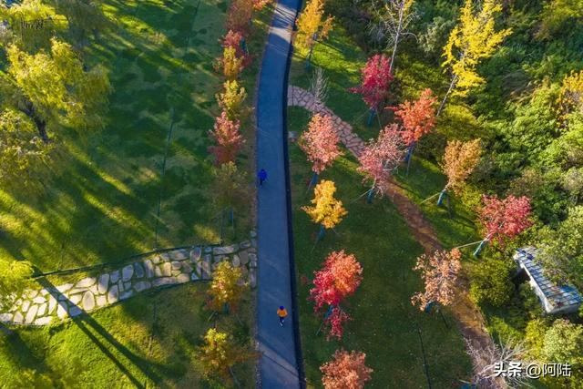 寻找大理海西的最美绿道，色彩缤纷秋意盎然，目测已经开始落叶啦