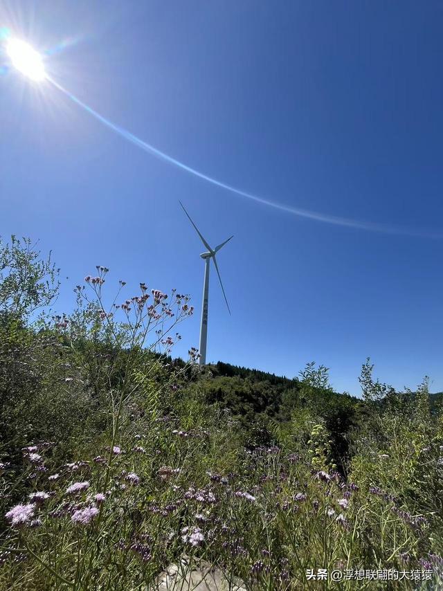 我，终于登上了岳阳山之巅！（博山登山记）