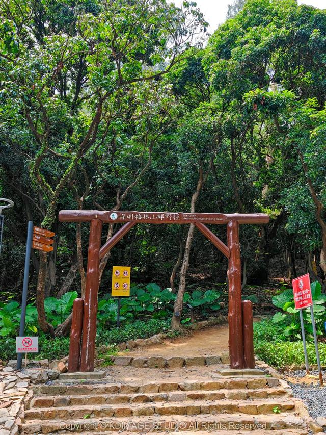 深圳徒步！超适合新手小白的3条郊野径路线，地铁公交直达还免费