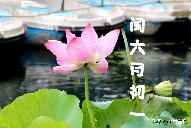 “有无秋老虎，看闰六月初一”，今日闰六月初一，今年秋天很热吗