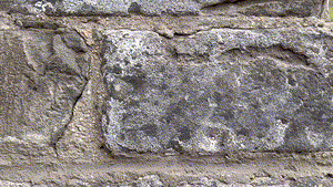 免签来中国，为啥选西安？