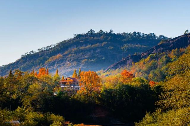 武夷山的“彩叶营业季”，美得正当时！
