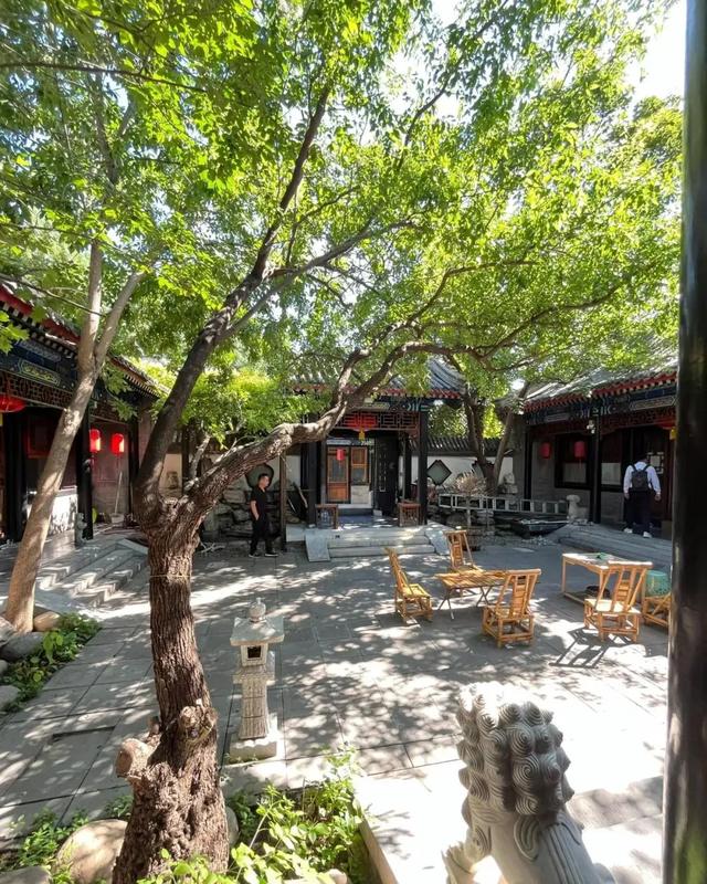自己打造的小院，太美了