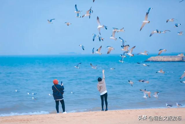 【乐游烟台】周末好去处丨雪窝烟台,冬日仪式感拉满了!