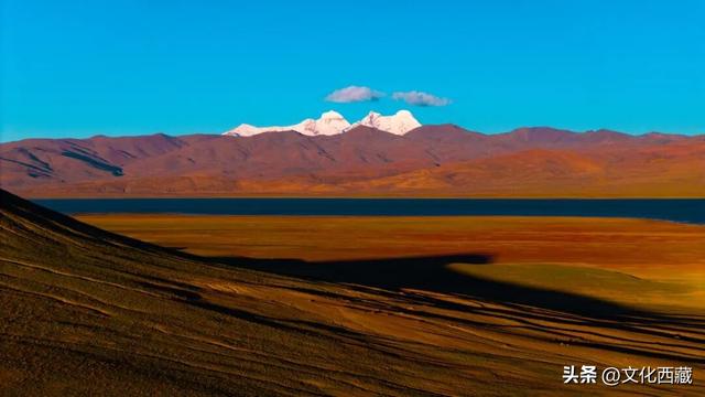 疯狂心动！哲古草原秋日限定景观，藏着西藏最野的浪漫！