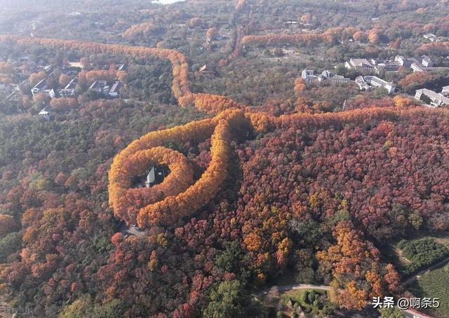 江苏南京，钟山风景区，大家展开想象，这个像什么？