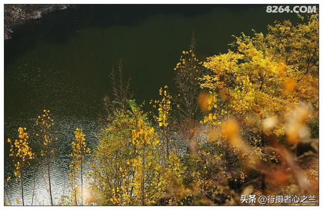 山东行游影记（19）—济南红叶谷