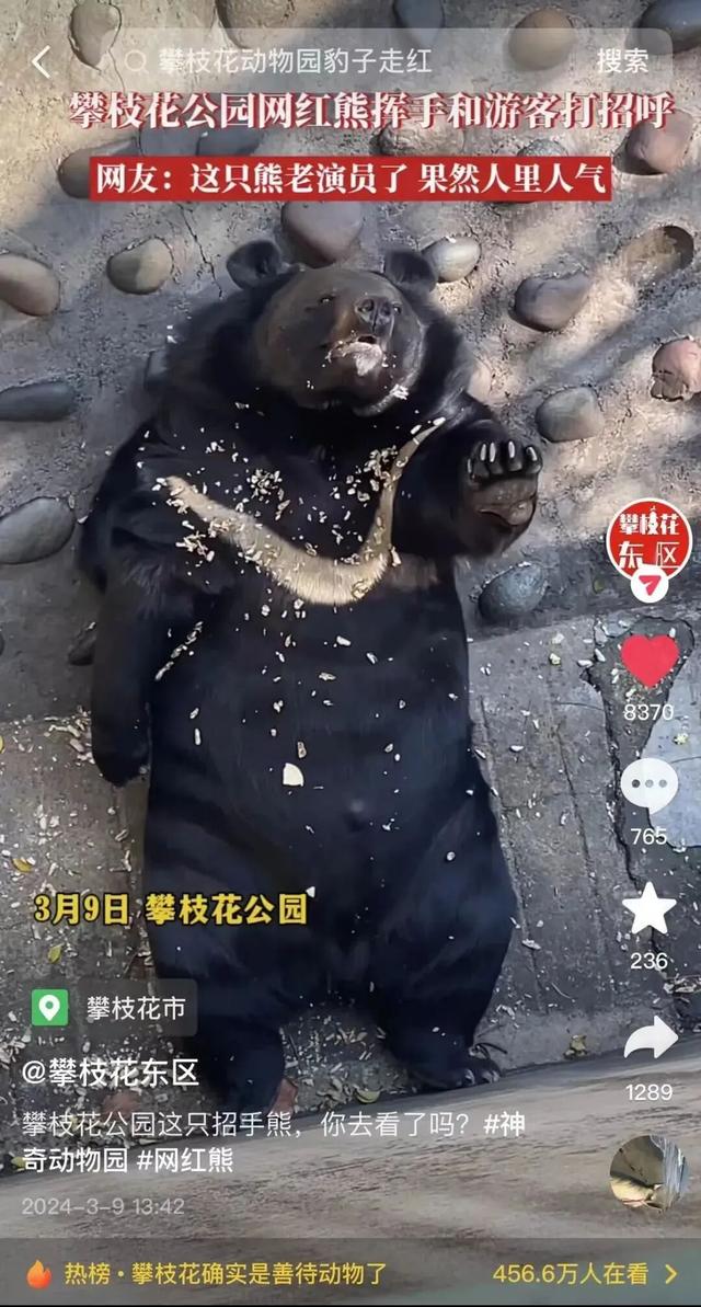 美疯了！高铁直达“四川小三亚”，花海开爆！草莓按盆吃，烧烤香迷糊！