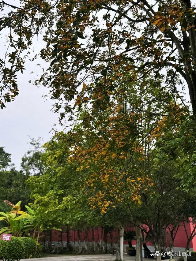 成都周边游丨去江油，看李白童年生活的地方，游小三峡