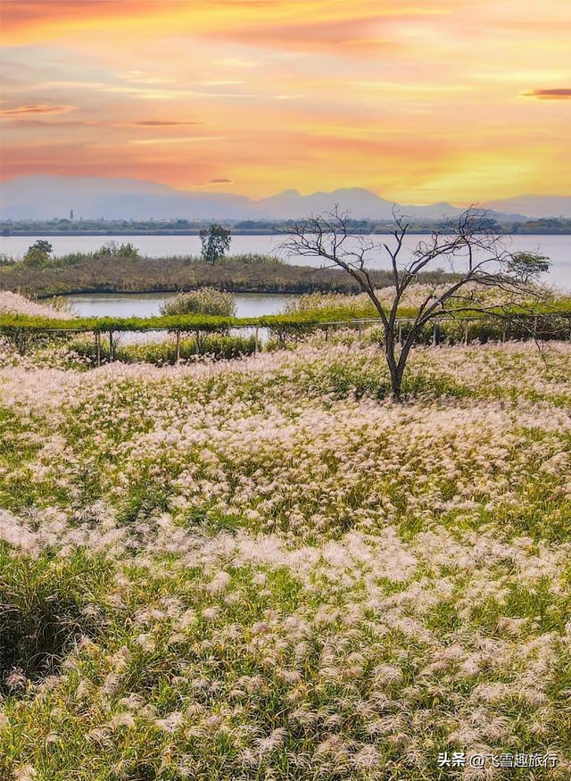 杭州出发两小时车程圈：六大乡村山水田园秘境全攻略