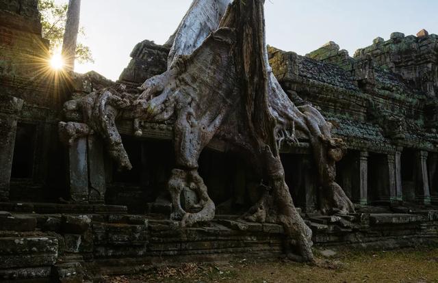 又一国对中国免签！千年的微笑在召唤