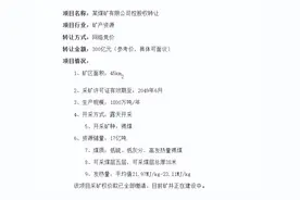 9个煤矿项目出售，总价846.3亿，但卖家背景和项目具体名称都未披露，究竟谁在卖煤矿？图片
