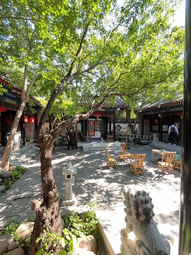 不敢想，要是住在这套院子，我会有多开朗
