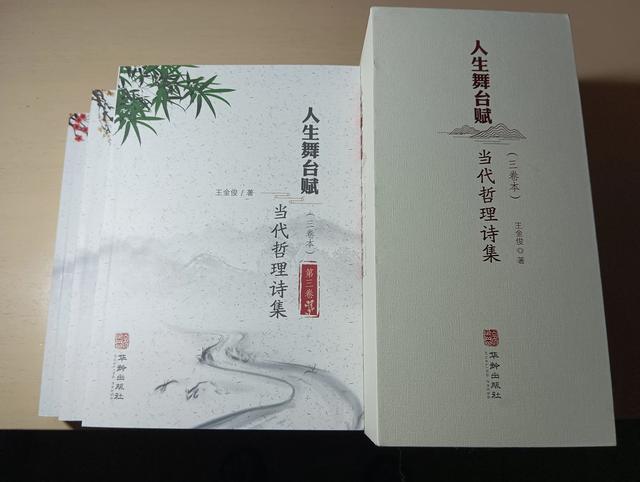 一篇读罢头飞雪,人生的斑斑点点