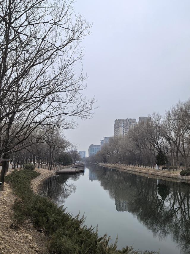 京都春寒中的感受