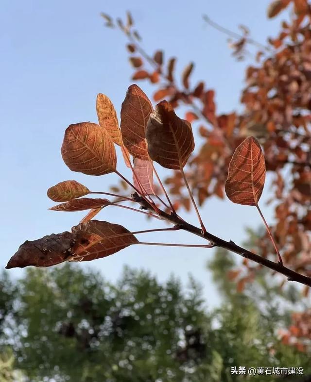 不收门票 全免费!黄石景色最丰富的登山线路来啦