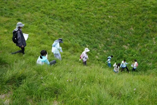 告别“走马观花”！汉中暑期研学游火了→