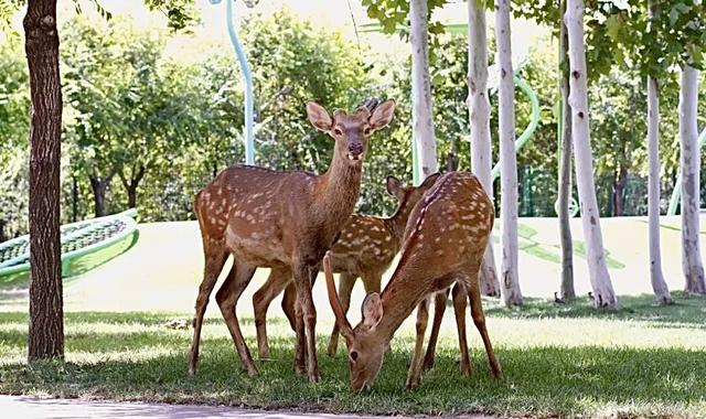 即将进入“高铁时代”的宝藏小城！三十六计，风味人间，爱了爱了……