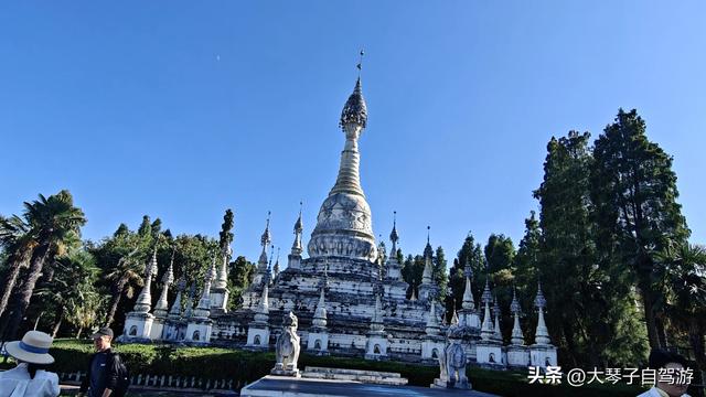 自驾路上的“货”色图鉴，笑料与温暖齐飞