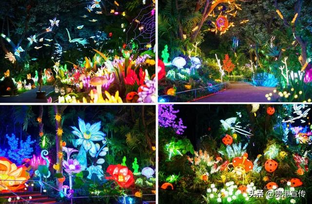 新春必打卡！贵港荷花灯会六大特色剧透（附抢票攻略）