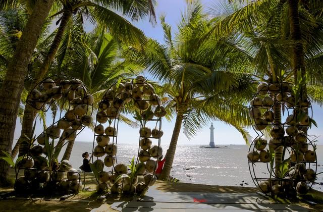 海滩恋曲：在椰影海风间遇见美好时光