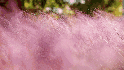 拜托，这真的很好看啊…