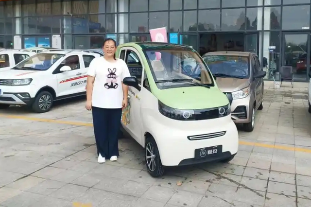 低速电动四轮车排行榜前5名来了，雷丁未入榜，第一名有权威认证