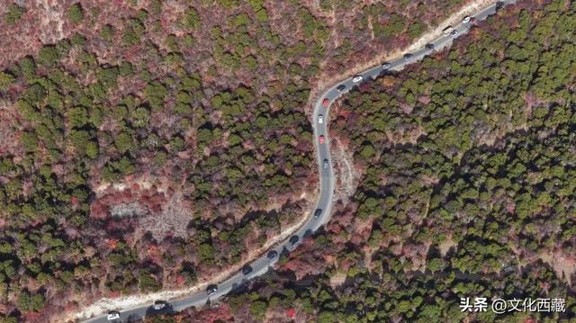 哇塞！西藏这里美出天际！冰川彩林，美成仙境！