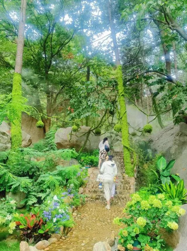 今年暑期临沂文旅赚足眼球和口碑 | 入境游热度飙升&影视打卡成潮流文旅临沂