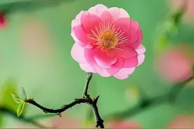 人生六个字：慢慢熬，糊涂过。11句熬百味人生苦尽甘来，活得快乐图片