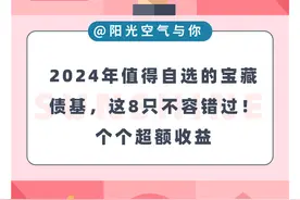 2024年值得自选的宝藏债基，这8只你不容错过！个个超额收益图片