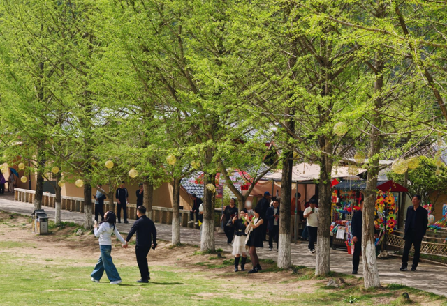 春满田河，古韵新生